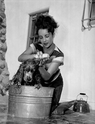 Elizabeth Taylor pic #72231
