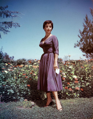 Elizabeth Taylor pic #135013