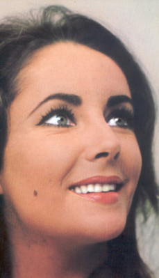 photo 5 in Elizabeth Taylor gallery [id112976] 2008-10-24 00:00:00