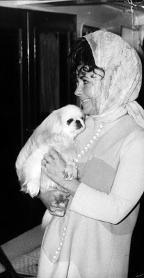 photo 23 in Elizabeth Taylor gallery [id490476] 2012-05-19 00:00:00