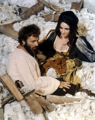 photo 5 in Elizabeth Taylor gallery [id488881] 2012-05-15 00:00:00