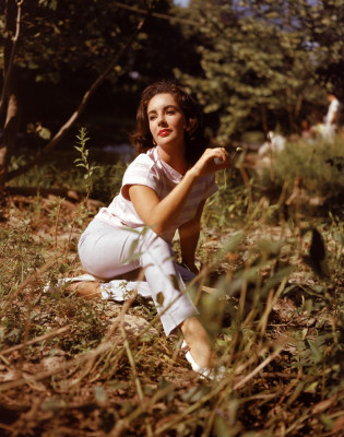 Elizabeth Taylor pic #378858