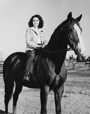 photo 28 in Elizabeth Taylor gallery [id382171] 2011-05-30 00:00:00
