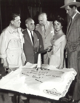 photo 3 in Elizabeth Taylor gallery [id376409] 2011-05-11 00:00:00