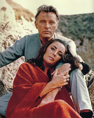photo 27 in Elizabeth Taylor gallery [id482143] 2012-04-30 00:00:00