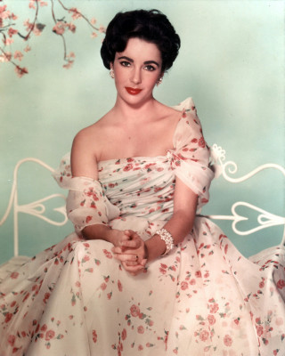 photo 19 in Elizabeth Taylor gallery [id385492] 2011-06-14 00:00:00