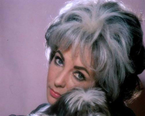 photo 11 in Elizabeth Taylor gallery [id365318] 2011-04-05 00:00:00