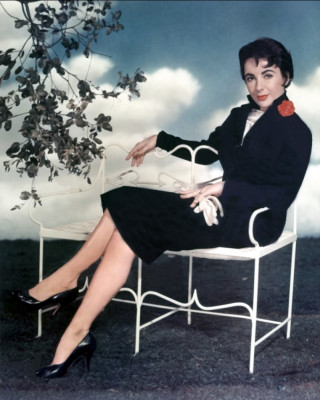 photo 23 in Elizabeth Taylor gallery [id368807] 2011-04-18 00:00:00