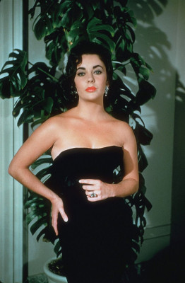 photo 9 in Elizabeth Taylor gallery [id433297] 2011-12-29 00:00:00
