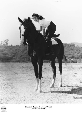 Elizabeth Taylor pic #244019