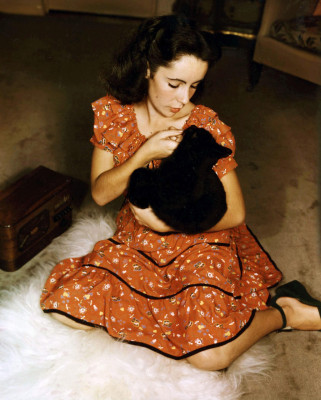 photo 24 in Elizabeth Taylor gallery [id384029] 2011-06-07 00:00:00
