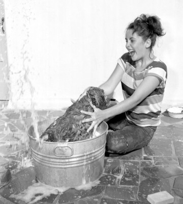 photo 16 in Elizabeth Taylor gallery [id432809] 2011-12-23 00:00:00