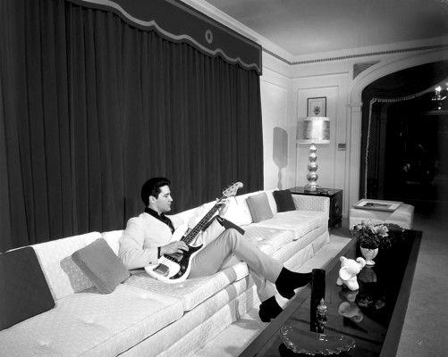 photo 8 in Elvis gallery [id374659] 2011-05-03 00:00:00