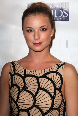 Emily van Camp pic #1243145