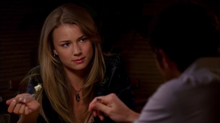 Emily van Camp pic #857082