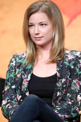 Emily van Camp pic #1204901