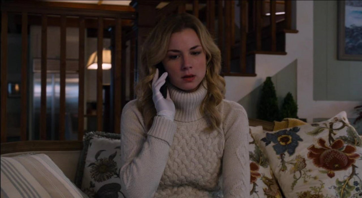 Emily van Camp pic #798832
