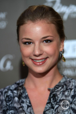 Emily van Camp pic #1282965