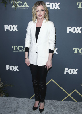 Emily van Camp pic #1203702
