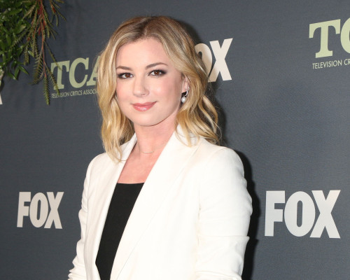 Emily van Camp pic #1203700