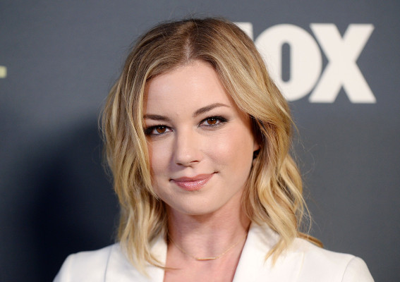 Emily van Camp pic #1203699