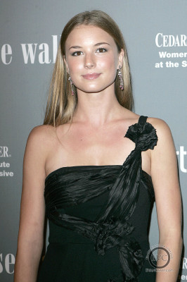 Emily van Camp pic #1278901