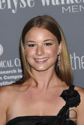 Emily van Camp pic #1278899