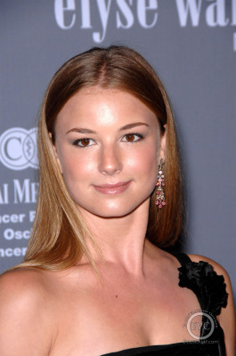 Emily van Camp pic #1278911