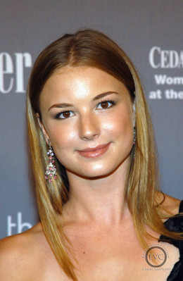 Emily van Camp pic #1278912