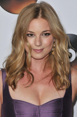 Emily van Camp pic #1237449