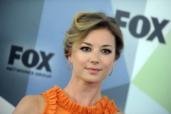 Emily van Camp pic #1205217