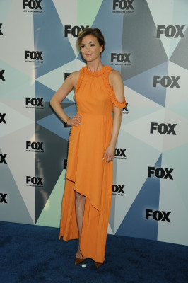 Emily van Camp pic #1205213