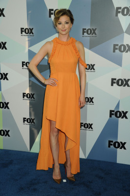 Emily van Camp pic #1205212