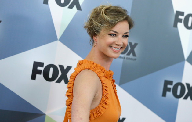Emily van Camp pic #1205219