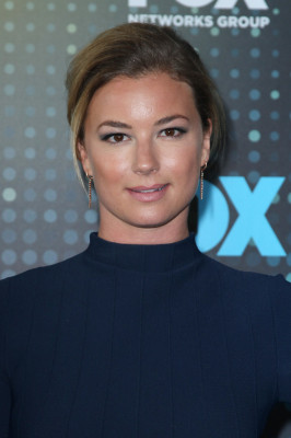 Emily van Camp pic #949293