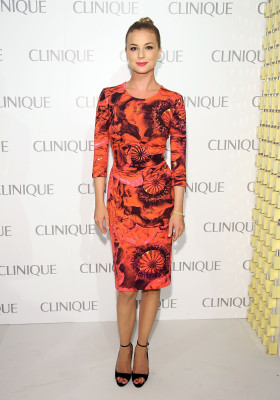 Emily van Camp pic #1237712