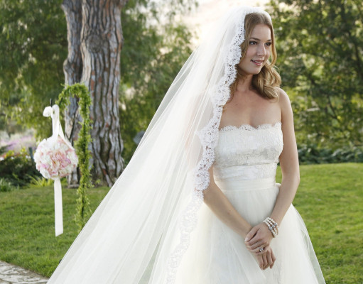 Emily van Camp pic #871765