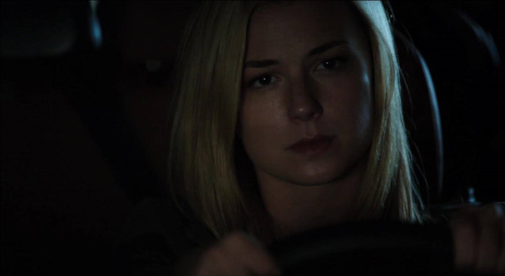 Emily van Camp pic #754901
