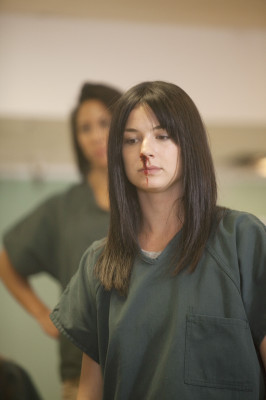 Emily van Camp pic #733545