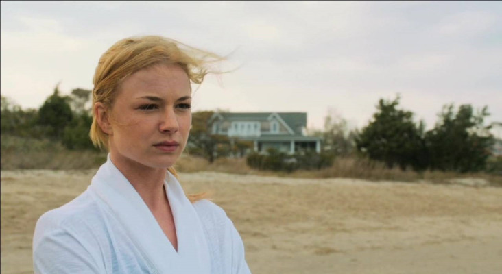 Emily van Camp pic #744074