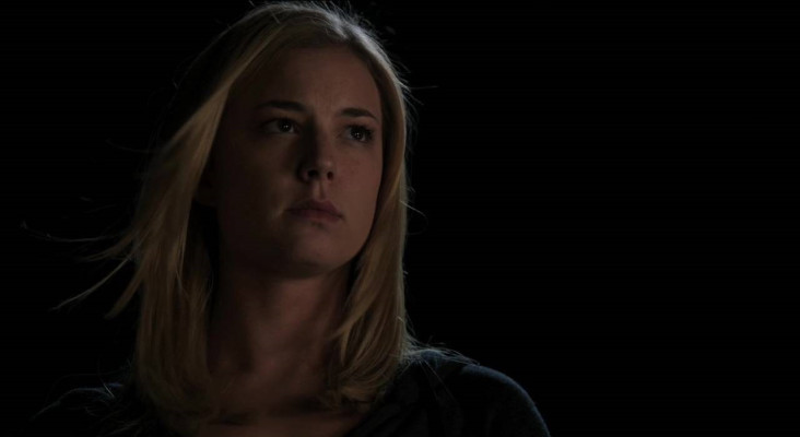Emily van Camp pic #745236