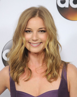 Emily van Camp pic #896122