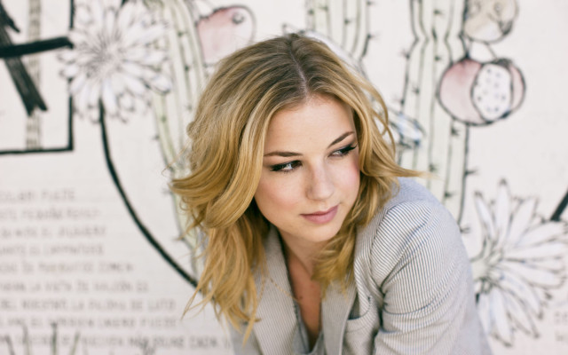 Emily van Camp pic #816297