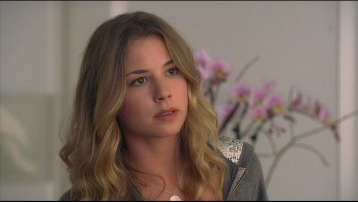 Emily van Camp pic #892266