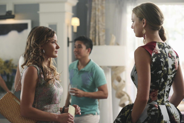 Emily van Camp pic #819143