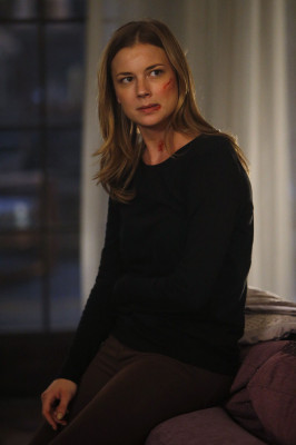 Emily van Camp pic #791509