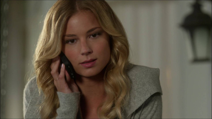Emily van Camp pic #781816