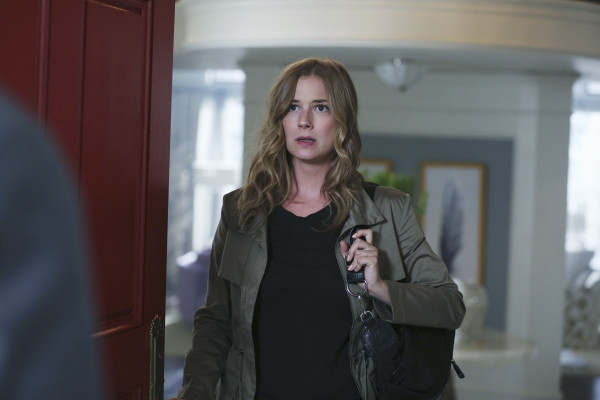 Emily van Camp pic #802615