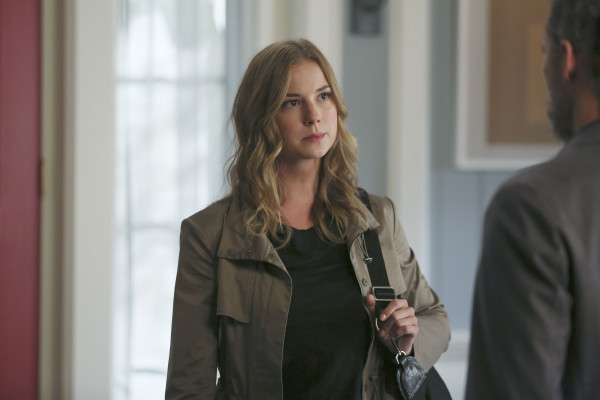 Emily van Camp pic #786680