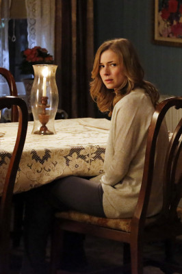 Emily van Camp pic #887871